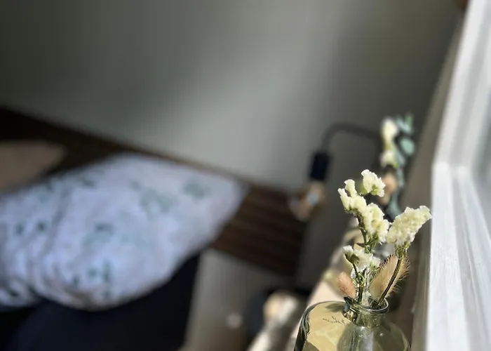 Leubnitz * دريسدن